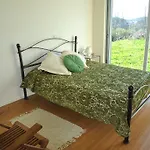 Casa Do Castanheiro Tatil Evi